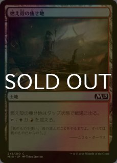 FOIL] 悪夢滅ぼし、魁渡/Kaito, Bane of Nightmares No.328 (全面