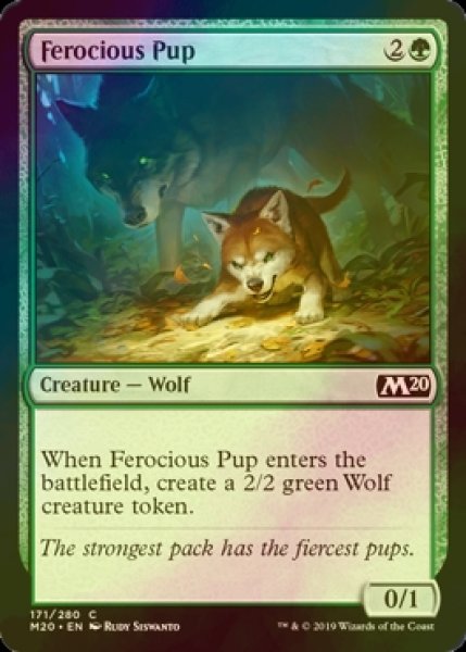 画像1: [FOIL] 獰猛な仔狼/Ferocious Pup 【英語版】 [M20-緑C] (1)