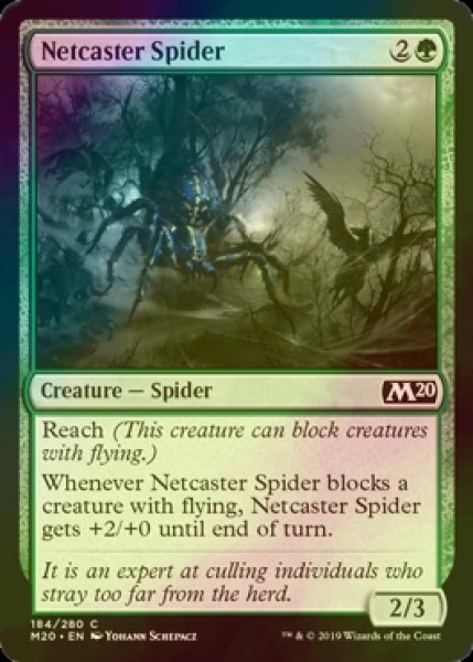 画像1: [FOIL] 網投げ蜘蛛/Netcaster Spider 【英語版】 [M20-緑C] (1)