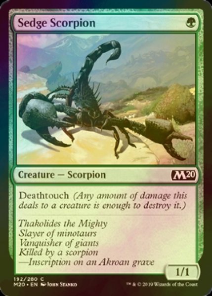 画像1: [FOIL] 菅草の蠍/Sedge Scorpion 【英語版】 [M20-緑C] (1)