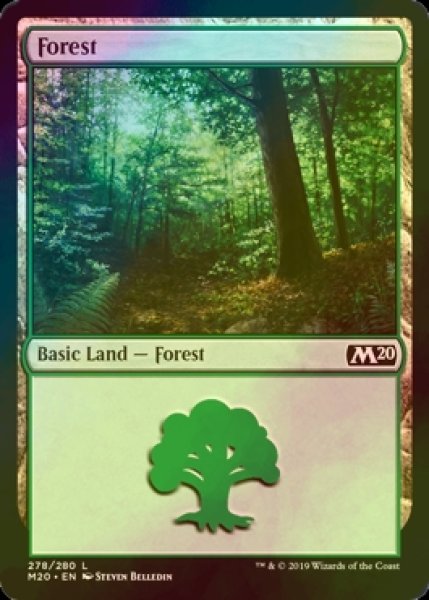 画像1: [FOIL] 森/Forest No.278 【英語版】 [M20-土地C] (1)