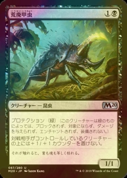 画像1: [FOIL] 荒廃甲虫/Blightbeetle 【日本語版】 [M20-黒U] (1)