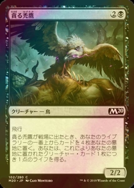 画像1: [FOIL] 貪る禿鷹/Gorging Vulture 【日本語版】 [M20-黒C] (1)