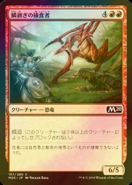 画像1: [FOIL] 鱗剥ぎの捕食者/Ripscale Predator 【日本語版】 [M20-赤C] (1)