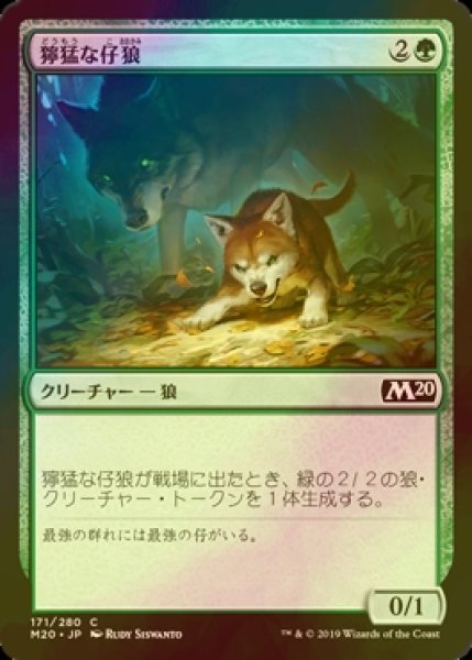 画像1: [FOIL] 獰猛な仔狼/Ferocious Pup 【日本語版】 [M20-緑C] (1)