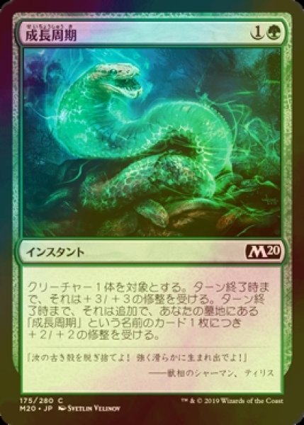 画像1: [FOIL] 成長周期/Growth Cycle 【日本語版】 [M20-緑C] (1)