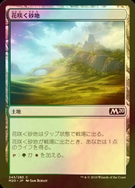 画像1: [FOIL] 花咲く砂地/Blossoming Sands 【日本語版】 [M20-土地C] (1)