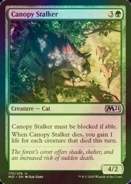 画像1: [FOIL] 梢の忍び寄り/Canopy Stalker 【英語版】 [M21-緑U] (1)