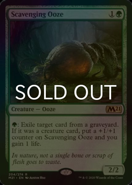 画像1: [FOIL] 漁る軟泥/Scavenging Ooze 【英語版】 [M21-緑R] (1)