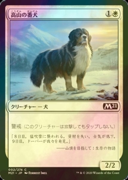 画像1: [FOIL] 高山の番犬/Alpine Watchdog 【日本語版】 [M21-白C] (1)