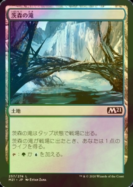 画像1: [FOIL] 茨森の滝/Thornwood Falls 【日本語版】 [M21-土地C] (1)