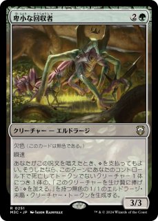 エルドレインの森 日本語版 統率者デッキ フェイの領土 1BOX
