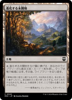 迷える黒魔道士、ビビ (全面アート版) 【日本語版】 マジックザギャザリング FIN JP 17/53 迷える黒魔道士、ビビ