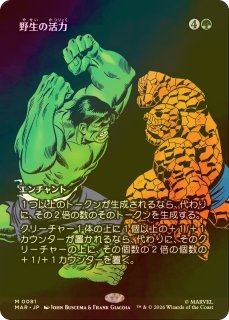 FOIL] ぶっとび全開、ミケランジェロ/Michelangelo, Weirdness to 11
