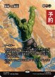 画像1: 僻境への脱出/Escape to the Wilds (全面アート版) 【日本語版】 [MAR-金MR] (予約Y) (1)