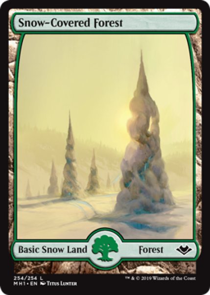 画像1: 冠雪の森/Snow-Covered Forest 【英語版】 [MH1-土地C] (1)