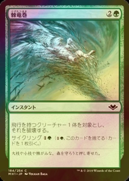 画像1: [FOIL] 棘竜巻/Thornado 【日本語版】 [MH1-緑C] (1)