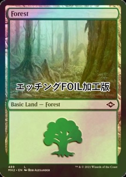 画像1: [FOIL] 森/Forest No.489 (エッチング仕様) 【英語版】 [MH2-土地C] (1)