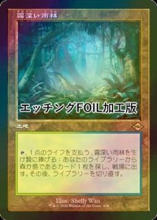 イチオシコーナー - シングルスター