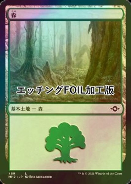 画像1: [FOIL] 森/Forest No.489 (エッチング仕様) 【日本語版】 [MH2-土地C] (1)