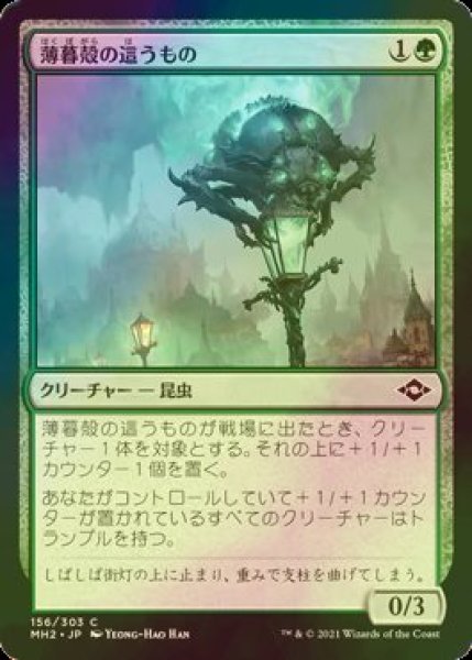 画像1: [FOIL] 薄暮殻の這うもの/Duskshell Crawler 【日本語版】 [MH2-緑C] (1)