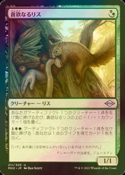 画像1: [FOIL] 貪欲なるリス/Ravenous Squirrel 【日本語版】 [MH2-金U] (1)