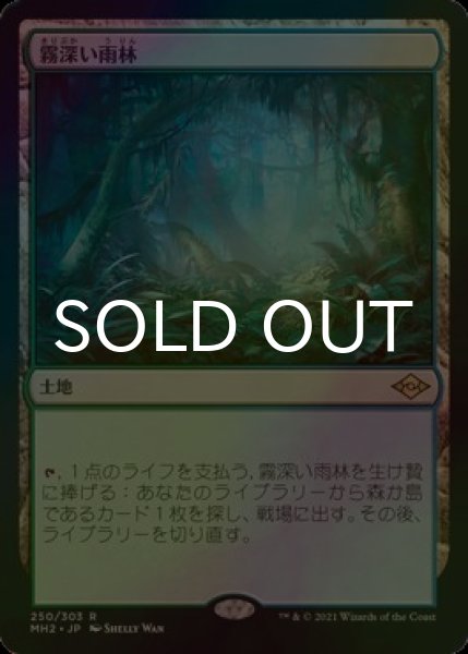 画像1: [FOIL] 霧深い雨林/Misty Rainforest 【日本語版】 [MH2-土地R] (1)