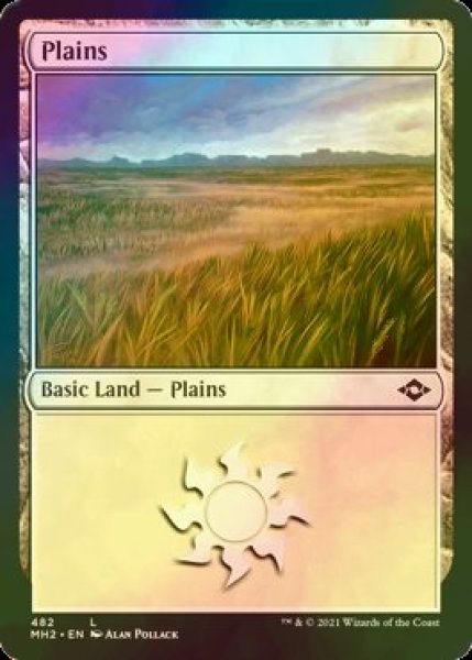 画像1: [FOIL] 平地/Plains No.482 【英語版】 [MH2-土地C] (1)