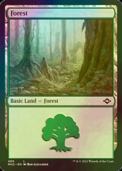 画像1: [FOIL] 森/Forest No.489 【英語版】 [MH2-土地C] (1)