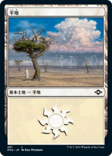 逸失への恐怖 ショーケース版4枚セット 日本語版 Amazon.co.jp: マジック：ザ・ギャザリング ダスクモーン：戦慄