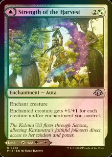 確認用】ELD 拡張アートfoil ロークスワインの元首、アヤーラ 日本語 1枚 ミントモール / MINT GAMES MTG(東日本橋) / 【ELD】【JPN】【Foil