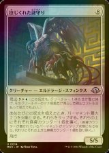 Amazon.co.jp: マジック：ザ・ギャザリング モダンホライゾン3