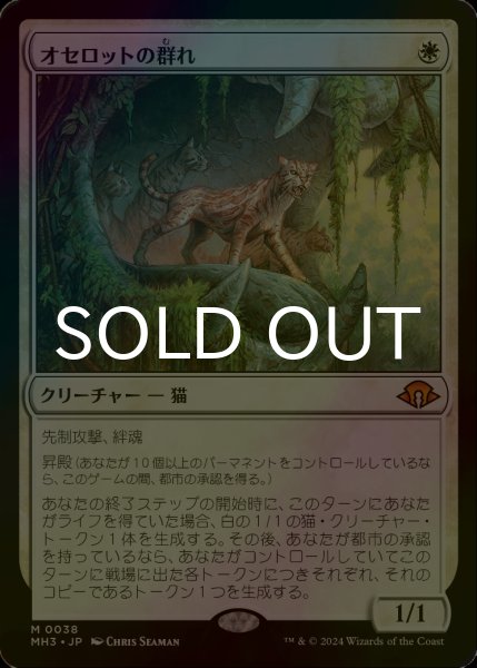 画像1: [FOIL] オセロットの群れ/Ocelot Pride (海外産ブースター版) 【日本語版】 [MH3-白MR] (1)