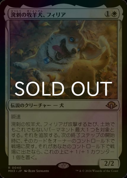 画像1: [FOIL] 溌剌の牧羊犬、フィリア/Phelia, Exuberant Shepherd 【日本語版】 [MH3-白R] (1)