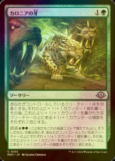 FOIL] 地底街の下水道/Undercity Sewers ○ (全面アート・日本産