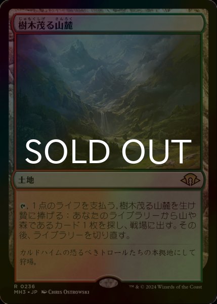 画像1: [FOIL] 樹木茂る山麓/Wooded Foothills 【日本語版】 [MH3-土地R] (1)