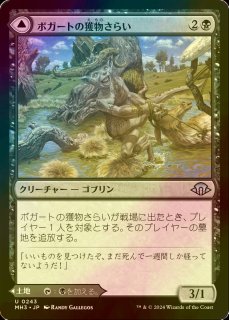 虹色の眺望/Prismatic Vista (MH1/土地R/日/foil/NM) ※詳細要確認