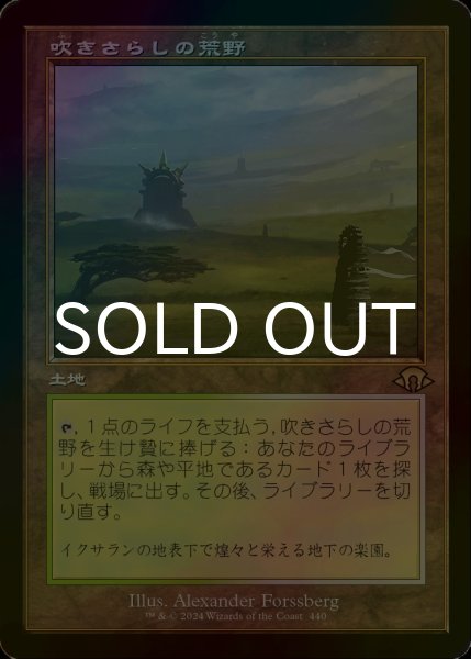 画像1: [FOIL] 吹きさらしの荒野/Windswept Heath (旧枠・海外産ブースター版) 【日本語版】 [MH3-土地R] (1)