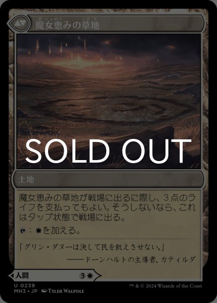 画像2: 魔女の結界師/Witch Enchanter 【日本語版】 [MH3-白U] (2)