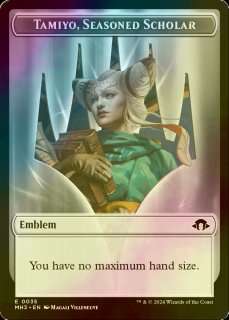 FOIL] 行き届いた書庫/Meticulous Archive 【英語版】 [MKM-土地R