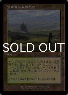 汚染された三角州/Polluted Delta (旧枠) 【日本語版】 [MH3-土地R