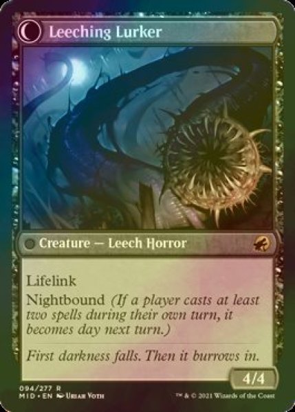 画像2: [FOIL] ヒルの呪い/Curse of Leeches 【英語版】 [MID-黒R] (2)