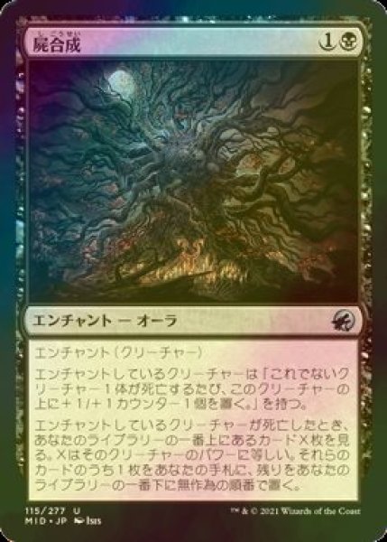 画像1: [FOIL] 屍合成/Necrosynthesis 【日本語版】 [MID-黒U] (1)