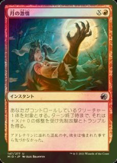 FOIL] ダークスティールの城塞/Darksteel Citadel 【日本語版