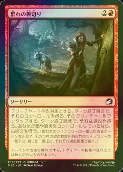 画像1: [FOIL] 群れの裏切り/Pack's Betrayal 【日本語版】 [MID-赤C] (1)