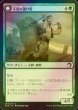 画像1: [FOIL] 不屈の運び屋/Tireless Hauler 【日本語版】 [MID-緑C] (1)