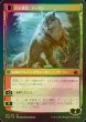 画像2: [FOIL] 群れの希望、アーリン/Arlinn, the Pack's Hope ● (日本産ブースター版) 【日本語版】 [MID-金MR] (2)