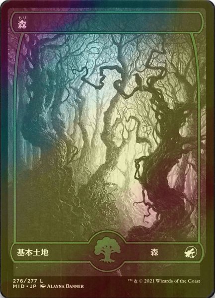 画像1: [FOIL] 森/Forest No.276 (海外産ブースター版) 【日本語版】 [MID-土地C] (1)