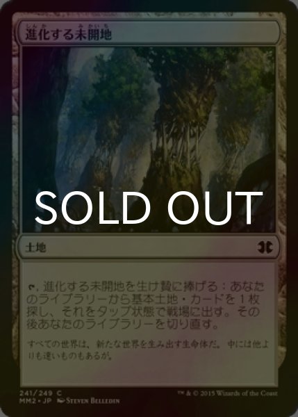 画像1: [FOIL] 進化する未開地/Evolving Wilds 【日本語版】 [MM2-土地C] (1)
