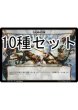 画像1: 機械兵団の進軍 修繕の時間 次元カード10種セット 【日本語版】 [MOC-次元] (1)